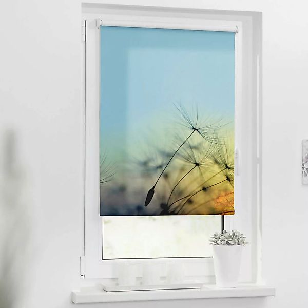 Verdunkelungsrollo Pusteblume blau B/L: ca. 45x150 cm günstig online kaufen