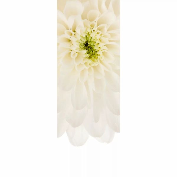 Komar Fototapete Vlies Beautiful  100 x 280 cm günstig online kaufen