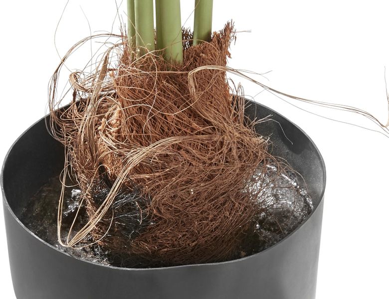 Kunstpalme Palme, Creativ green, Höhe 110 günstig online kaufen