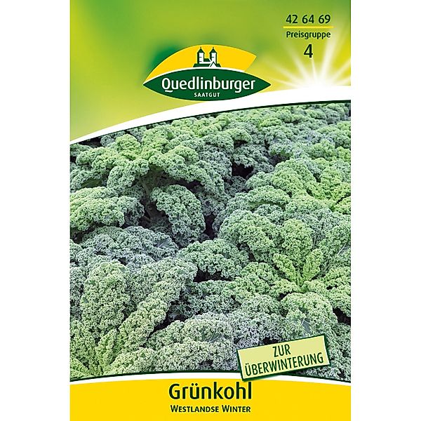 Quedlinburger Grünkohl ''Westlandse Winter'' Großpackung günstig online kaufen