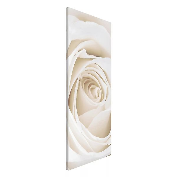 Magnettafel Blumen - Hochformat 1:2 Pretty White Rose günstig online kaufen