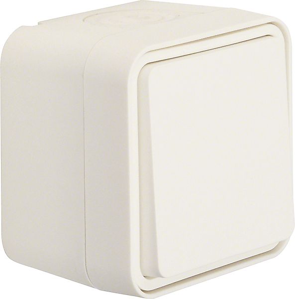 Berker Wechselschalter polarweiß 30763502 günstig online kaufen