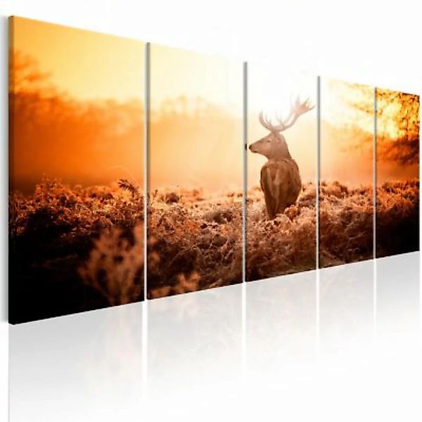 artgeist Wandbild Deer at Sunset beige/orange Gr. 200 x 80 günstig online kaufen