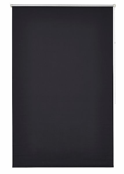 my home Seitenzugrollo "THEMSE" abdunkelnd Sichtschutz  Verdunkelung  energ günstig online kaufen