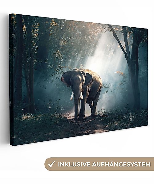 OneMillionCanvasses® Leinwandbild Elefant - Tiere - günstig online kaufen