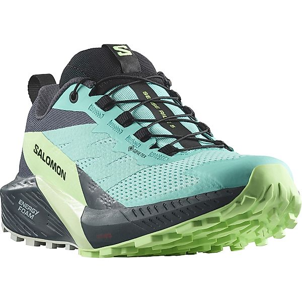 Salomon SENSE RIDE 5 GORE-TEX® W günstig online kaufen