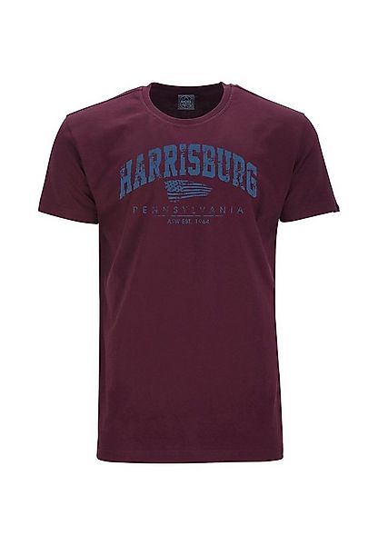 AHORN SPORTSWEAR T-Shirt HARRISBURG_ATLANTIC BLUE mit modischem Frontprint günstig online kaufen