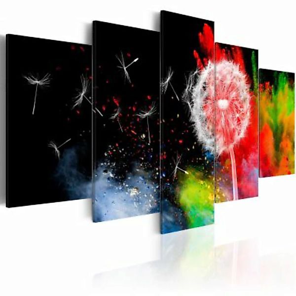 artgeist Wandbild Festival of Colours mehrfarbig Gr. 200 x 100 günstig online kaufen