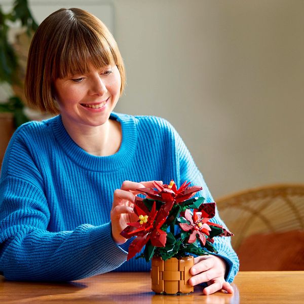 LEGO® LEGO Icons Weihnachtsstern, Konstruktionsspielzeug Spielbausteine günstig online kaufen