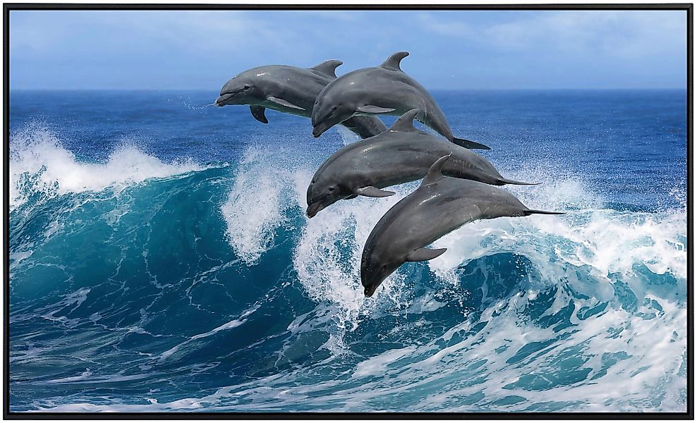 Papermoon Infrarotheizung »Verspielte Delfine«, sehr angenehme Strahlungswä günstig online kaufen