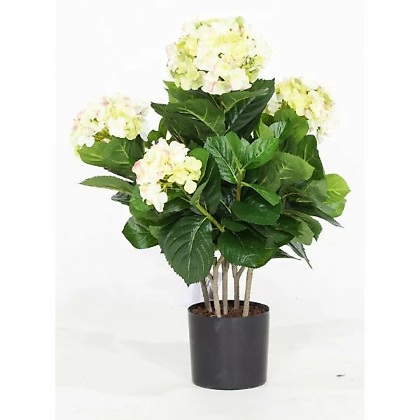 Hortensie Kunstpflanze 53 cm creme | L: 61 B: 41 H: 57 | grün-crème günstig online kaufen