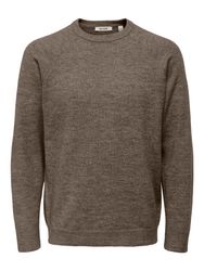 ONLY & SONS Rundhalspullover ONSTHOMAS REG günstig online kaufen