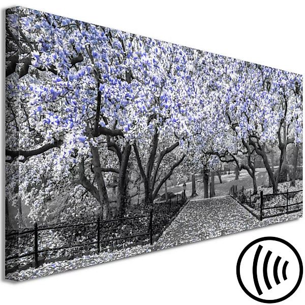 Wandbild Blühende Magnolie - horizontale Magnolienkomposition Violett-Tönen günstig online kaufen