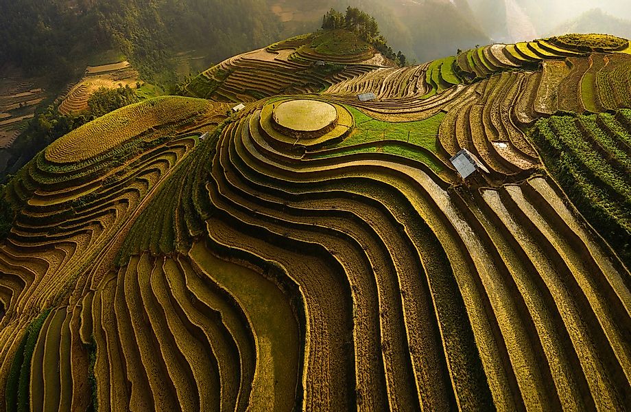 Papermoon Fototapete »ĐAO TẤN PHAT, MU CANG CHAI - VIETNAM«, Vliestapete, h günstig online kaufen