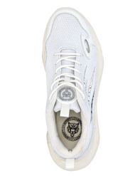 PLEIN SPORT Sneaker "Tiger Scratch" günstig online kaufen