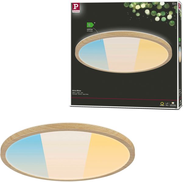 Paulmann LED Deckenleuchte LED Panel Atria günstig online kaufen