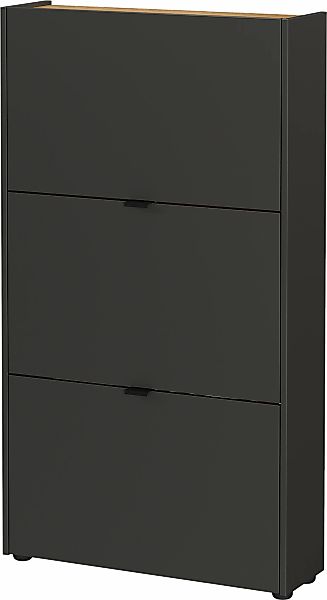 GERMANIA Schuhschrank "GW-Ameca", (1 St.), mit Platz für bis zu 9 Paar Schu günstig online kaufen