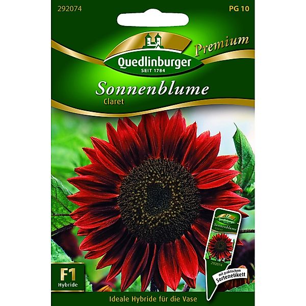 Quedlinburger Sonnenblume ''Claret'' günstig online kaufen