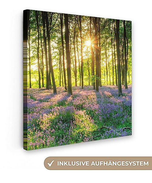 OneMillionCanvasses® Leinwandbild Frühling - Wald - Sonne, Fotodruck (1 St) günstig online kaufen