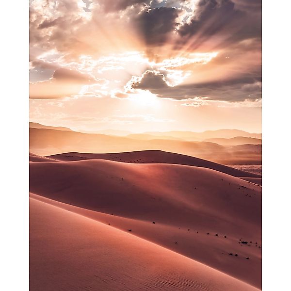 Komar Fototapete Vlies God Rays  200 x 250 cm günstig online kaufen