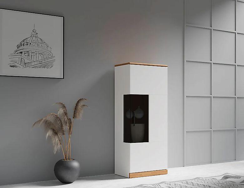 Home affaire Vitrine "RIBE75, 1Glasboden variabel, dunkles gehärtetes Glas, günstig online kaufen