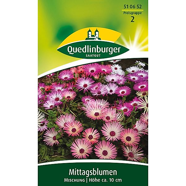 Quedlinburger Mittagsblume ''Mischung'' günstig online kaufen