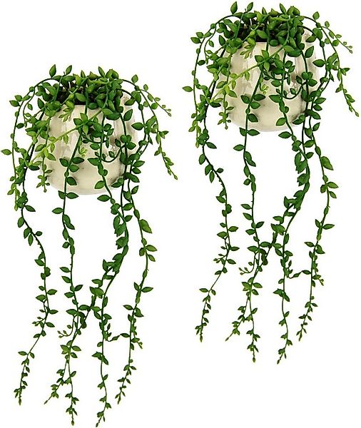 Kunstpflanze Senecio im Topf 2er Set künstlich Pflanze Hängepflanze Kunstbl günstig online kaufen