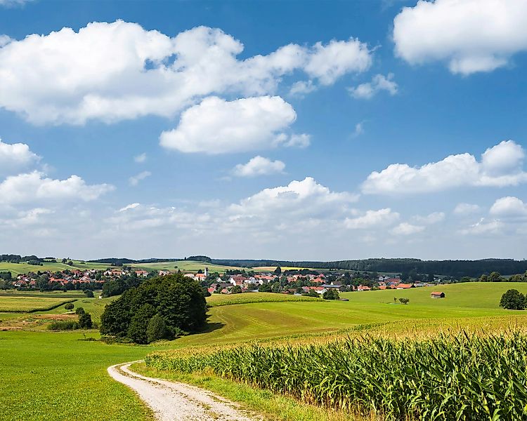 Komar Fototapete Bayrische Idylle B/L: ca. 350x280 cm günstig online kaufen