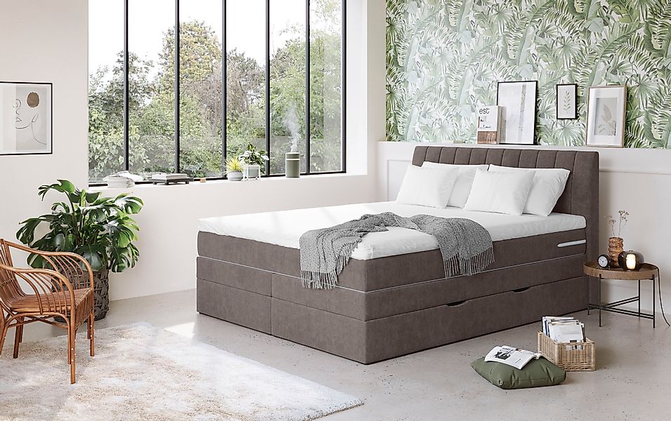 COTTA Boxspringbett »Shark inkl. Bettkasten und Topper«, erhältlich in den günstig online kaufen