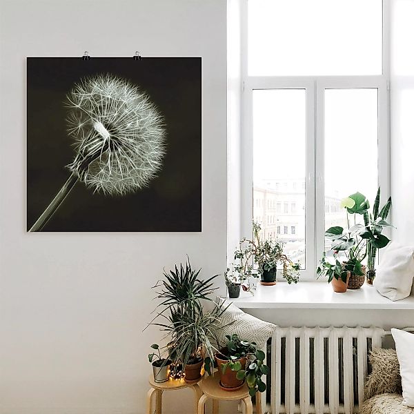 Artland Wandbild "Pusteblume", Blumen, (1 St.) günstig online kaufen