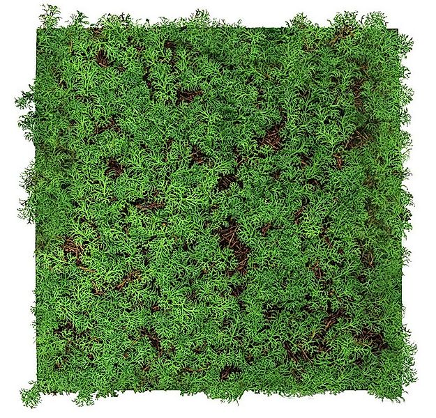 JANGAL 3D Wandpaneel Modular Wall Akustikpaneel, Die Holz- und Steinoberflä günstig online kaufen