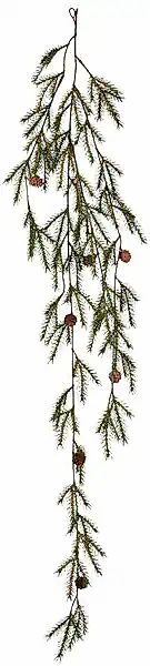 Creativ green Kunstranke »Hänger mit Tannenzweigen« mit Zapfen günstig online kaufen