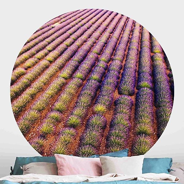 Runde Tapete selbstklebend Malerisches Lavendelfeld günstig online kaufen