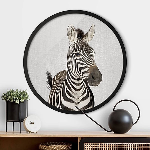 Rundes Bild mit Rahmen Zebra Zilla günstig online kaufen