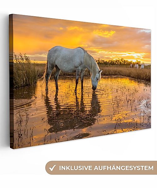 OneMillionCanvasses® Leinwandbild Pferde trinken bei Sonnenuntergang günstig online kaufen