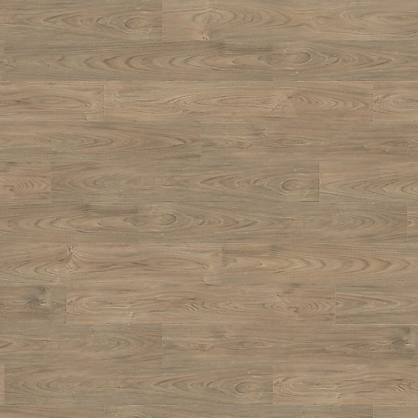 Living by Haro Laminat 8 mm Ulme Vario günstig online kaufen