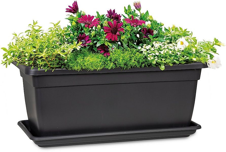 Scheurich Pflanzkübel, Ergänzung zu den rechteckigen Kunststoff-Pflanzkäste günstig online kaufen