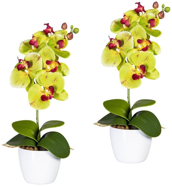 Kunstpflanze Orchidee Phalaenopsis Orchidee, Creativ green, günstig online kaufen