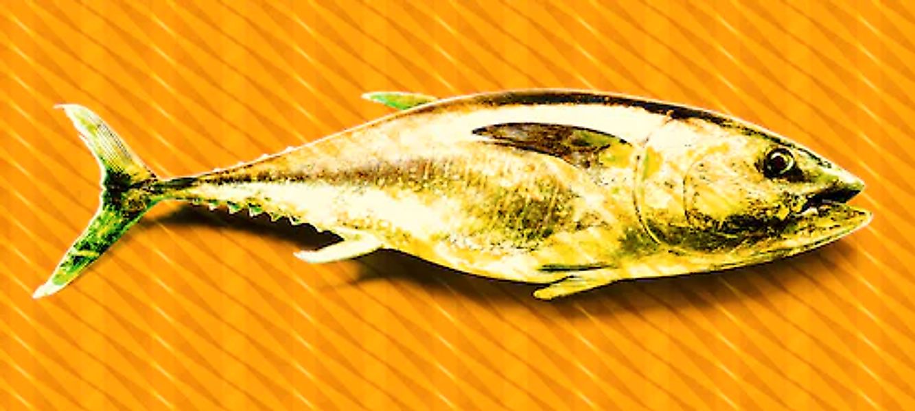 Architects Paper Fototapete »Atelier 47 Tuna Graphic 2« abstrakt glatt Vlie günstig online kaufen