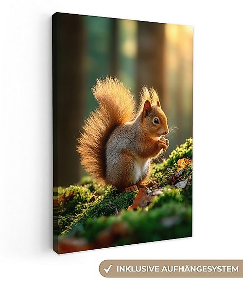 OneMillionCanvasses® Leinwandbild Eichhörnchen - Nuss - Gras, Fotodruck (1 günstig online kaufen