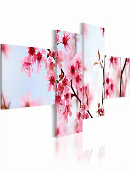 artgeist Wandbild Schönheit der Kirsche mehrfarbig Gr. 200 x 90 günstig online kaufen