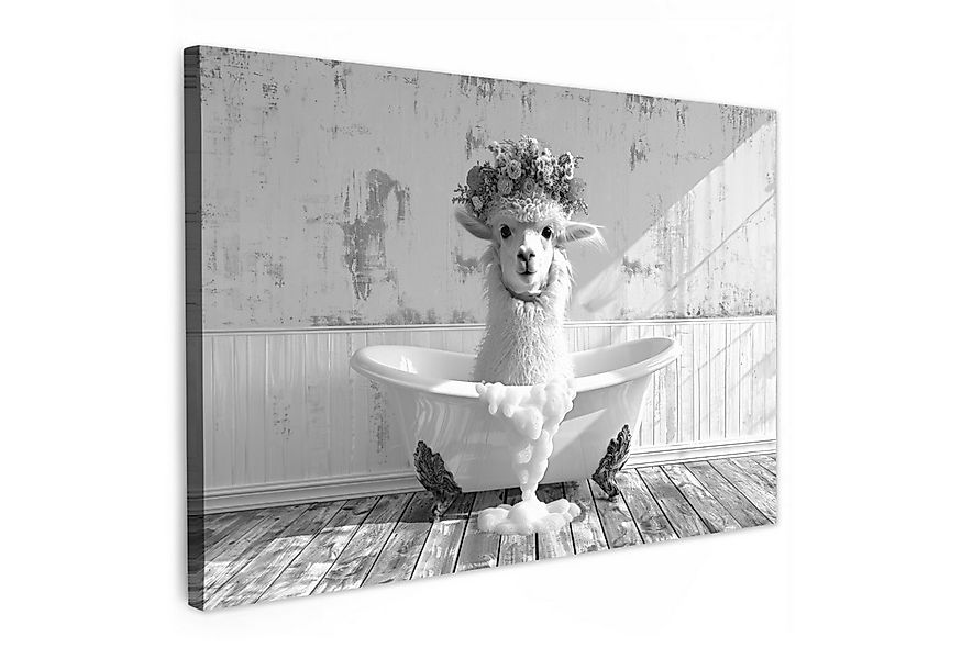 OneMillionCanvasses® Leinwandbild Alpaka - Blumen - Tier - Badewanne - Schw günstig online kaufen