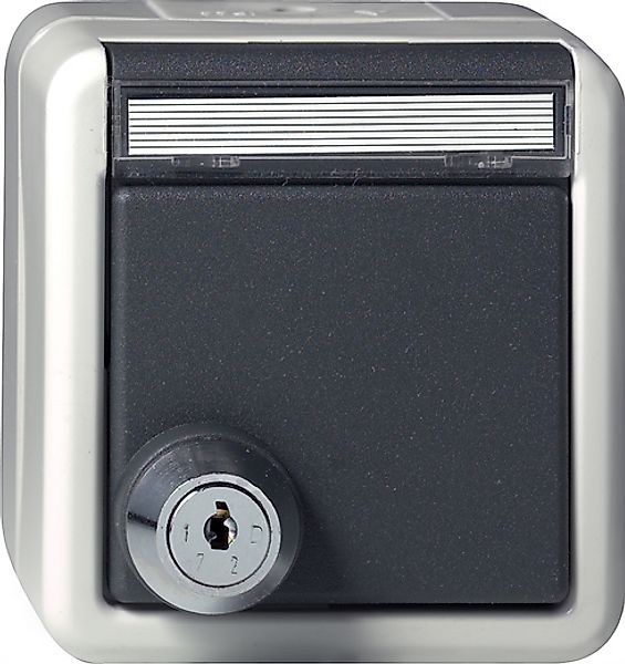 Gira Steckdose KD Gra Schloss sortiert 456730 günstig online kaufen