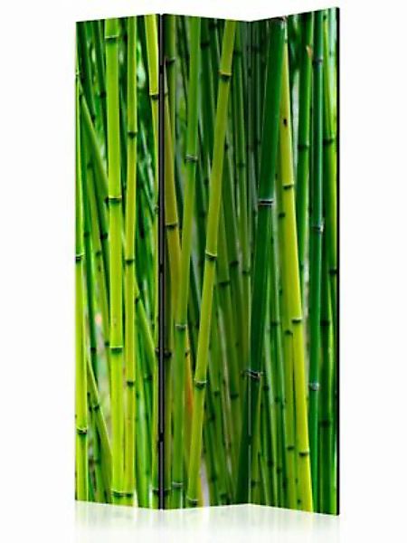 artgeist Paravent Bamboo Forest [Room Dividers] grün Gr. 135 x 172 günstig online kaufen