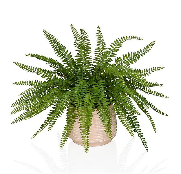 Kunstpflanze Kunstpflanze Proliferum Kunststoff Boston Farn, hjh OFFICE, Hö günstig online kaufen