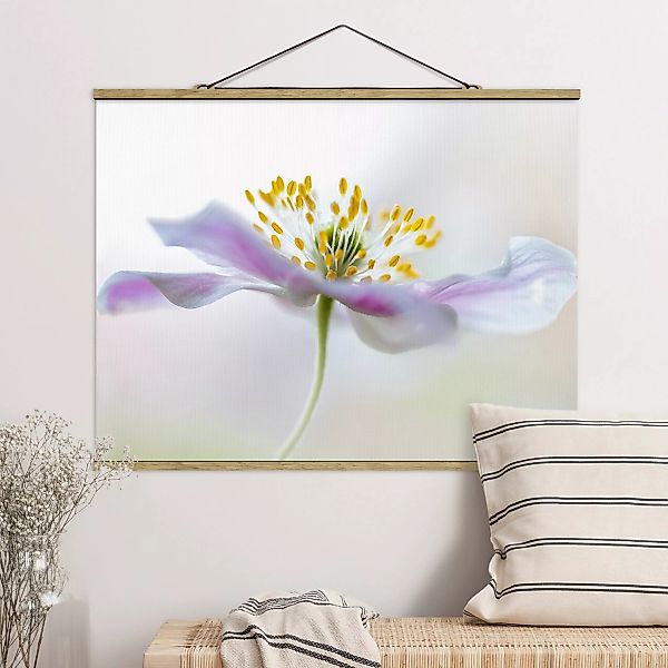 Stoffbild Blumen mit Posterleisten - Querformat Buschwindröschen in Weiß günstig online kaufen
