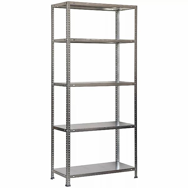 PROREGAL Schraubregal Panda Tall HxBxT 200 x 100 x 40 cm 5 Fachböden Fachla günstig online kaufen