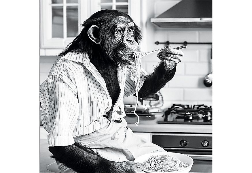 artissimo Glasbild Glasbild 50x50cm Bild aus Glas lustig, witzige Tiere Küc günstig online kaufen