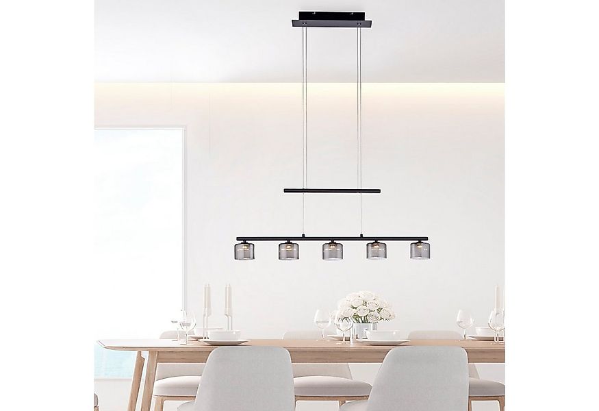 Paul Neuhaus Pendelleuchte HYDRA, LED fest integriert, Warmweiß, LED günstig online kaufen