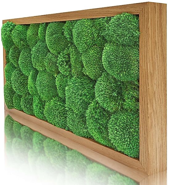 naturewalls Bild Moosbild Kugelmoos - Pflanzenbild günstig online kaufen